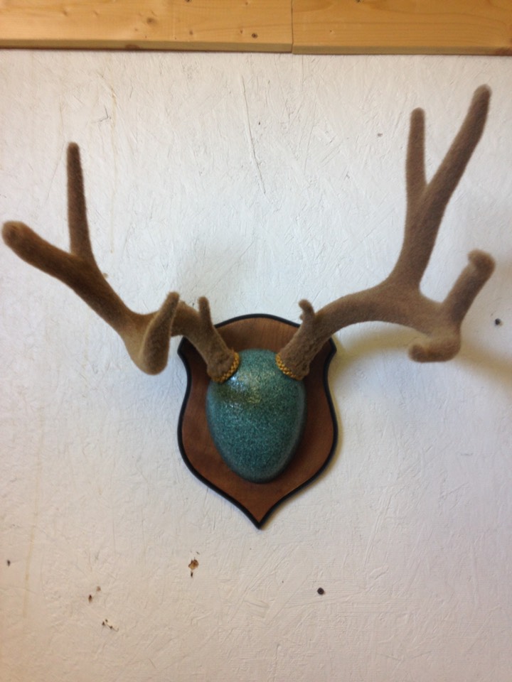 Heads & Tails Taxidermy-5-4